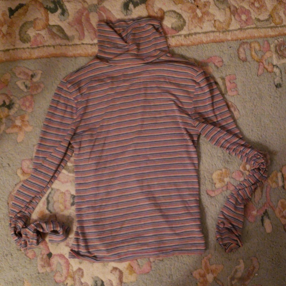 Multi color stripe turtle neck